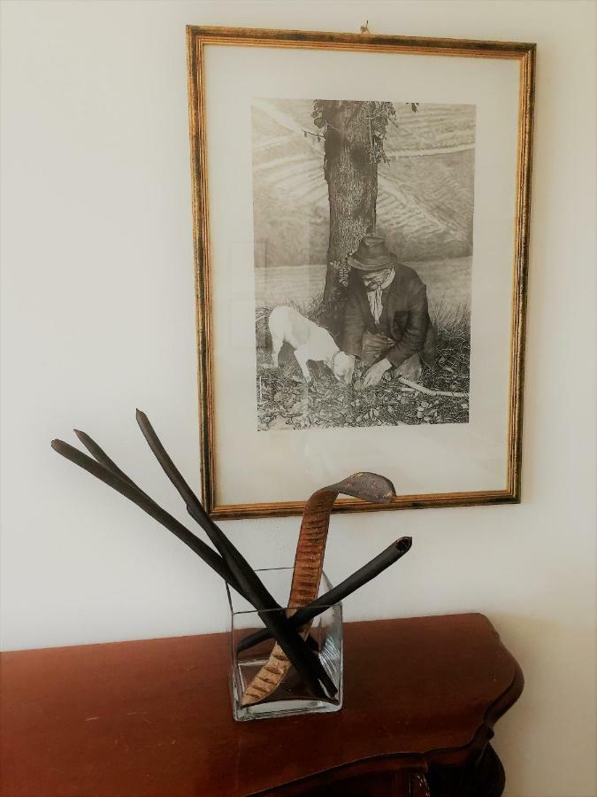 דירות אלבה Casa "T" מראה חיצוני תמונה